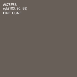 #675F58 - Pine Cone Color Image